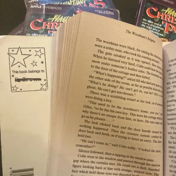 Set of 29 Christmas Books Winter Teachers Library Multiples Bulk Classroom Sets - Picture 7 of 14